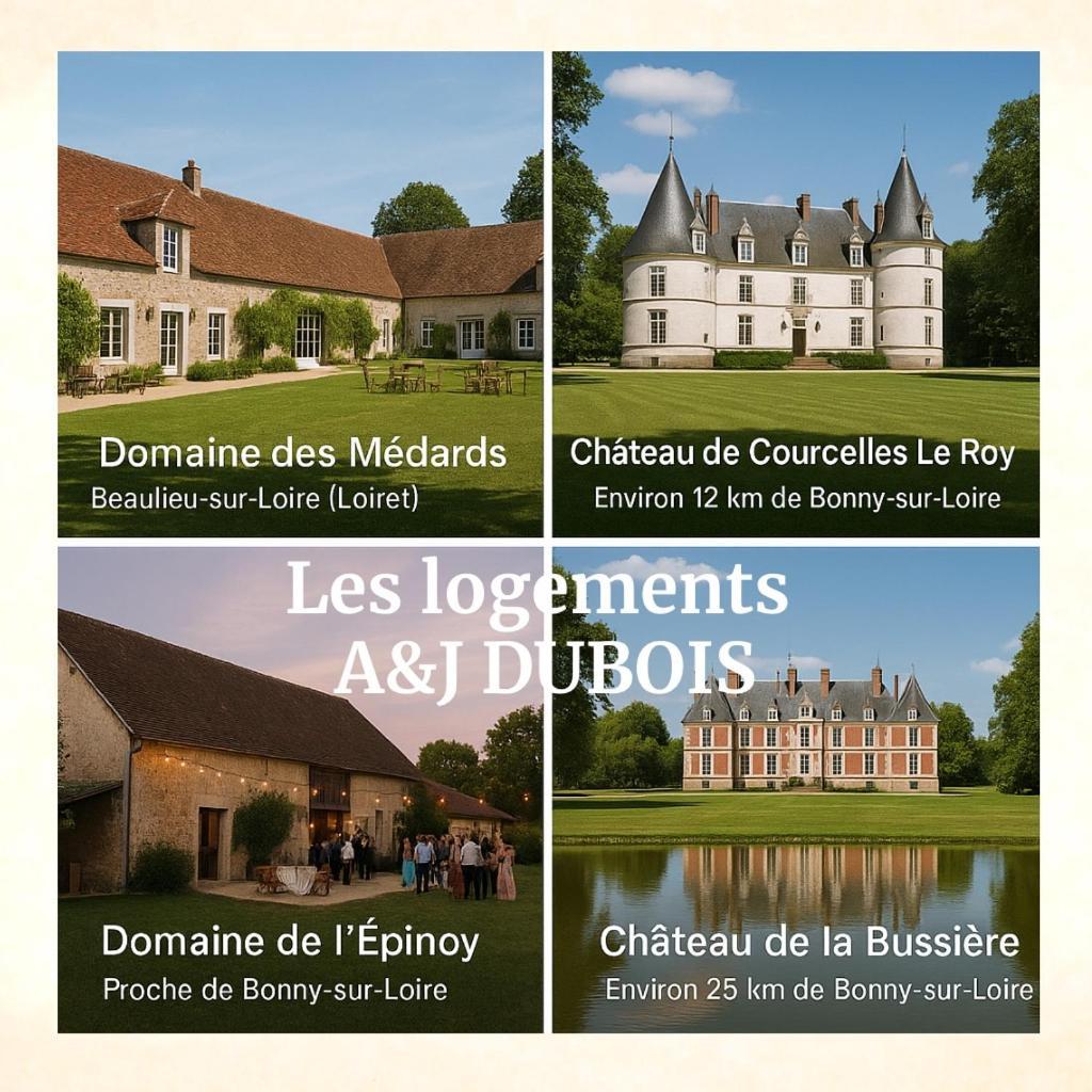 A&J Family - Neuvy Sur Loire - Guedelon Villa Bagian luar foto